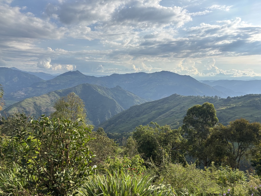 Andean range