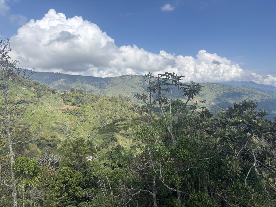 Andean range