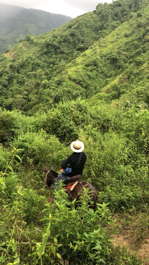 Mule trail access