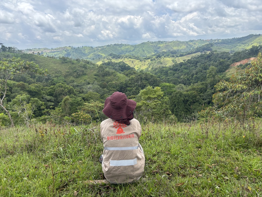 Field overlook