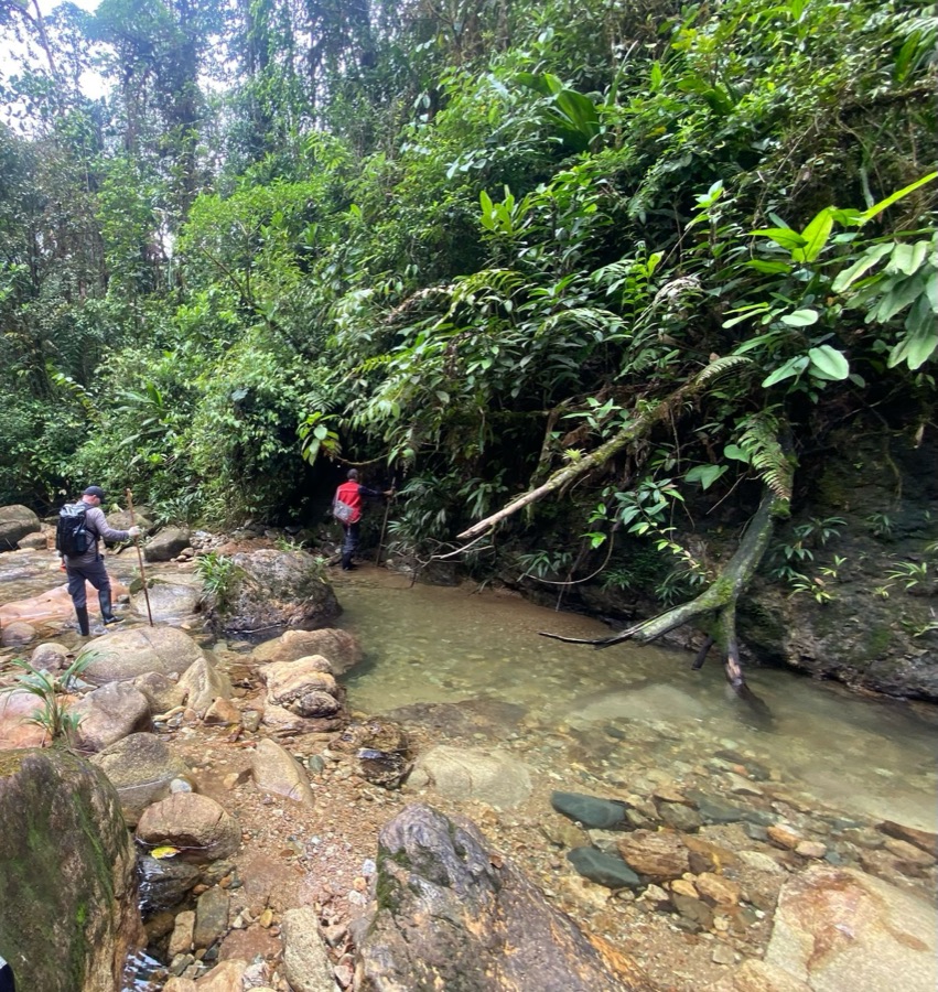 Stream survey
