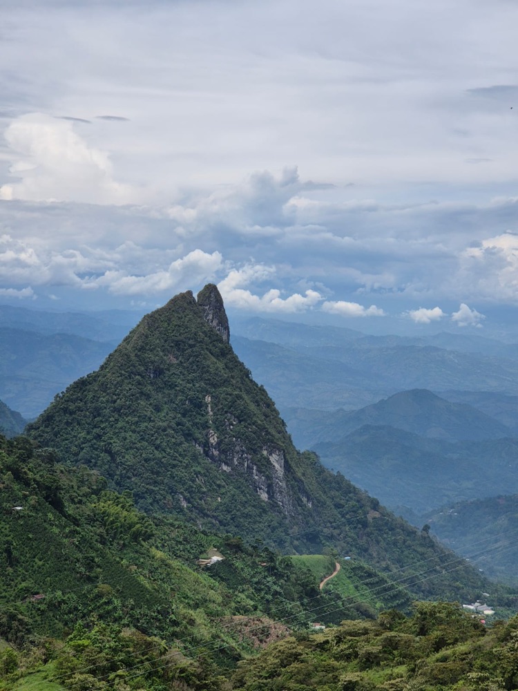 Andean landscape